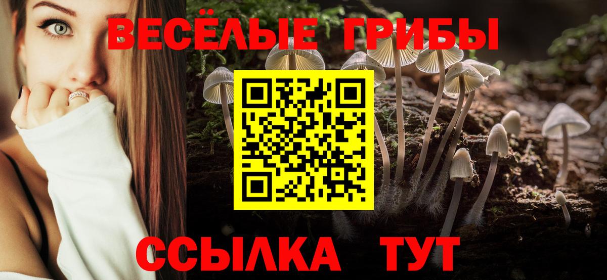 Галлюциногенные грибы Psilocybine cubensis  Вход с VPN  Галлюциногенные грибы Psilocybe  Боровичи 